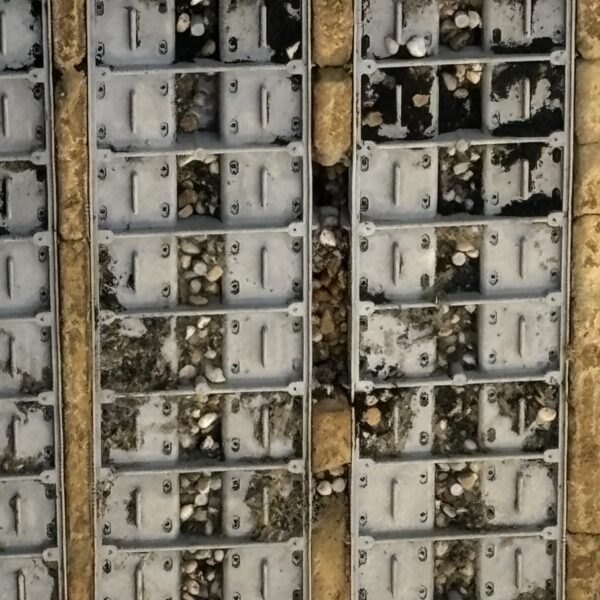 Looking up at the underside of a bridge, featuring multiple rectangular metal panels integrated into its structure, with many bird nests and droppings scattered across and between the panels.